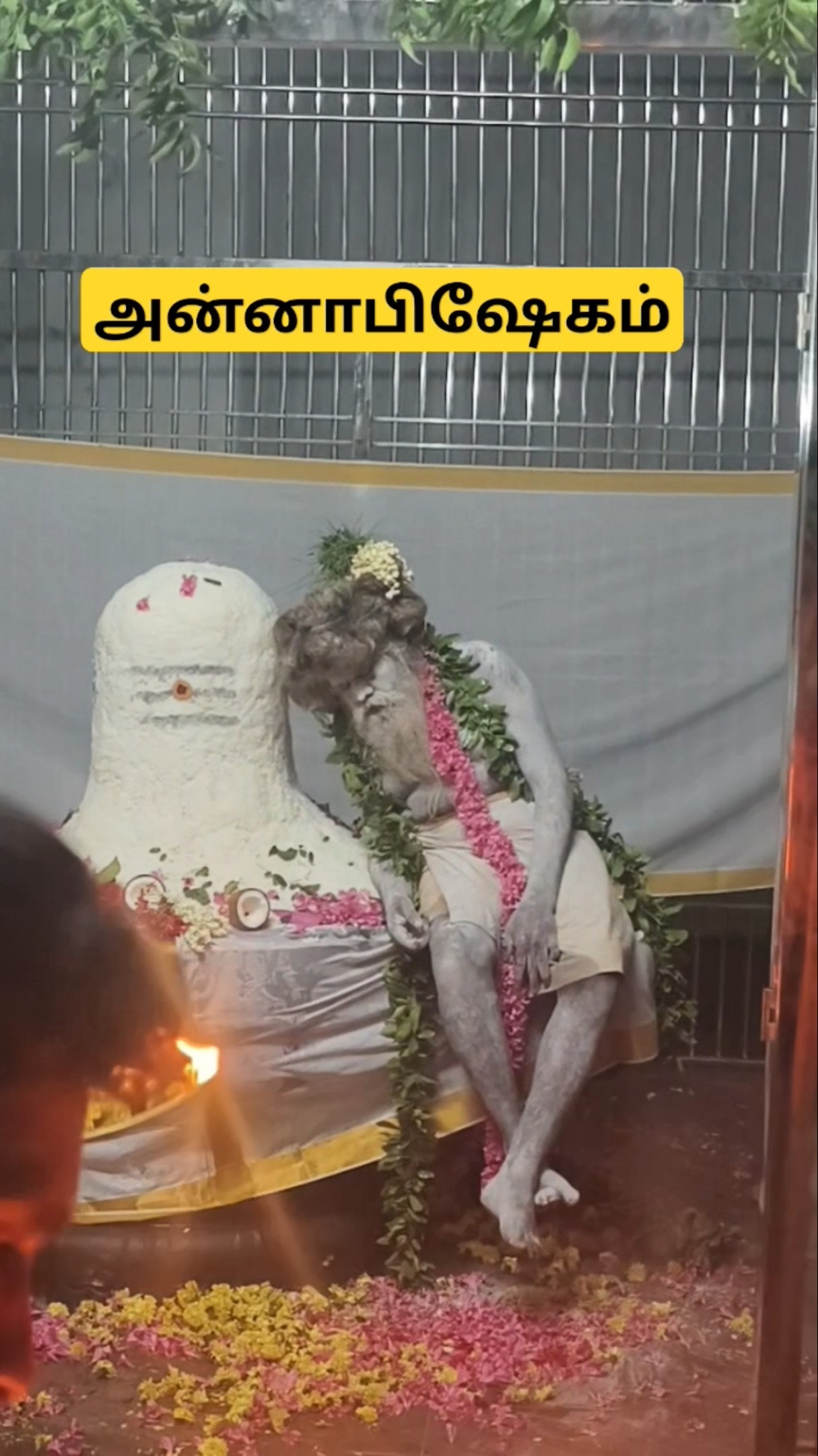 சித்தர் மகாதேவமலை அன்னாபிஷேகம் l மகாதேவனுக்கு l மகானந்த சித்தர்